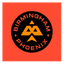 Birmingham Phoenix (Women) Flag