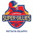 Chepauk Super Gillies Flag